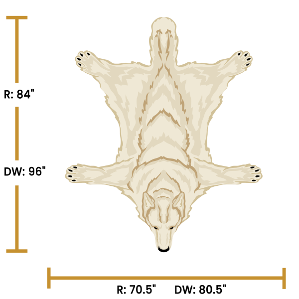 Arctic Wolf - Image 4