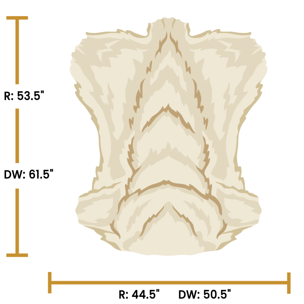 Arctic Wolf Torso - Image 4