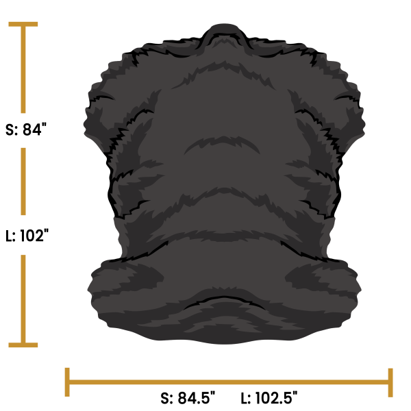 Black Bear Torso - Image 4