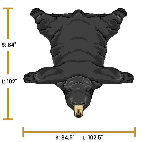 Black Bear - Image 4