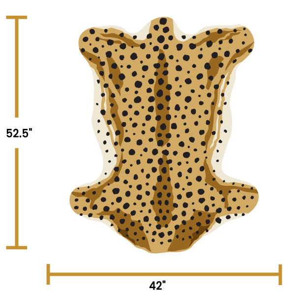 Cheetah Torso - Image 4