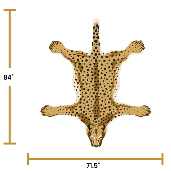 Cheetah - Image 4