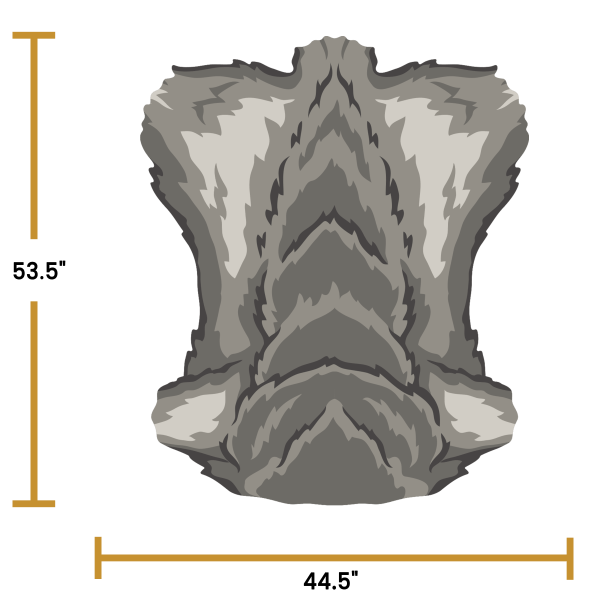 Grey Wolf Torso - Image 4