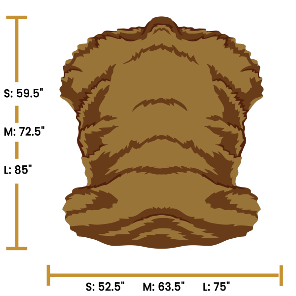 Grizzly Bear Torso - Image 4