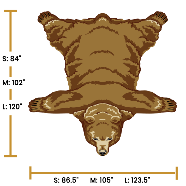Grizzly Bear - Image 4