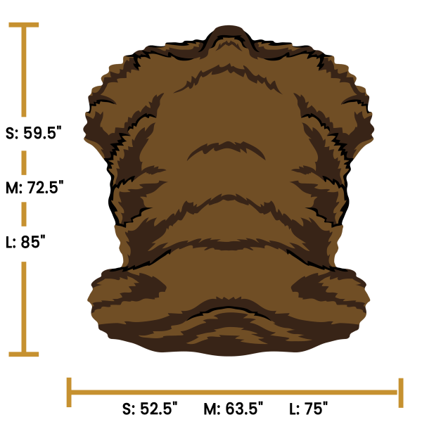 Kodiak Bear Torso - Image 4