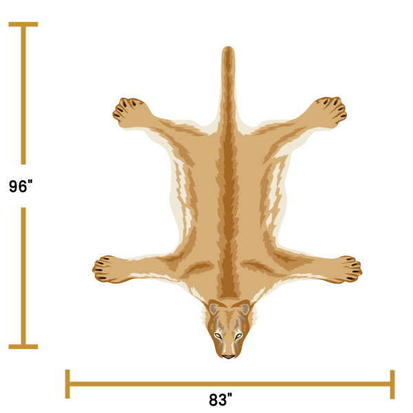 Puma - Image 4