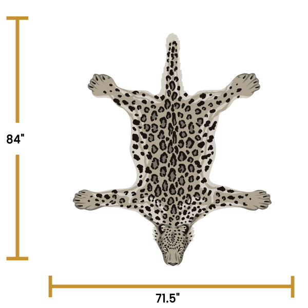 Snow Leopard - Image 4